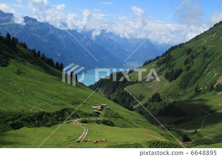 羅斯霍恩和布里恩茨湖 羅斯霍恩和布里恩茨湖 6648895