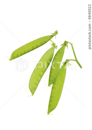 胡椒開花 6648922