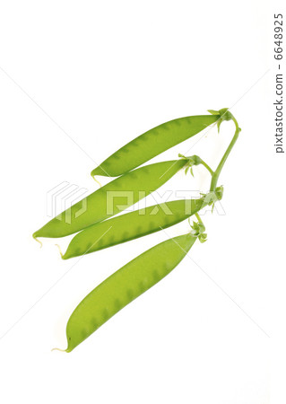 Pepper blossom 6648925