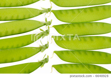 胡椒開花 胡椒開花 6648928