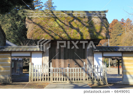 高田高級大學寺 - 高田 6649091