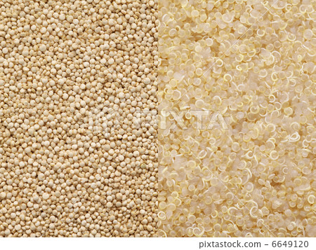 Quinoa Quinoa 6649120