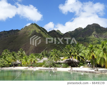  莫雷阿島 6649139