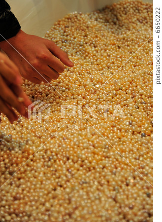 淡水珍珠 淡水珍珠 6650222