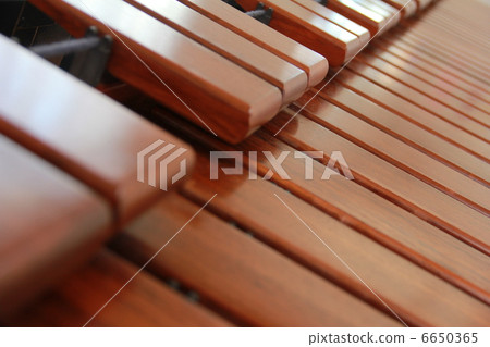 Marimba 6650365