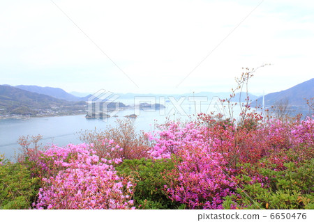 Open Mountain Park 6650476