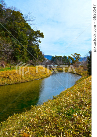 Uchibori of Yuzuki (Dogo Park / Doge-cho Matsuyama-shi Ehime Prefecture) 6650547