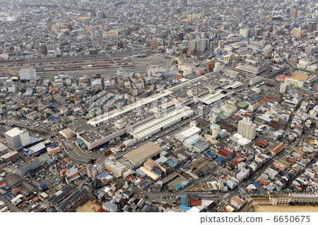 大阪市東部中央批發市場的航拍照片 6650675