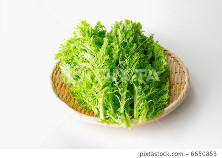 Wasabi greens white back side (whole) 6650853