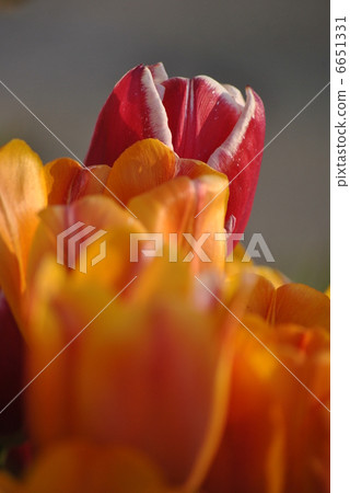 Take a look a little Take a look a little 6651331