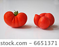 蔬菜 6651371