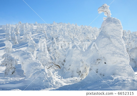Ice ice. Yamagata Zao. Shot in February 2013 Ice ice. Yamagata Zao. Shot in February 2013 6652315