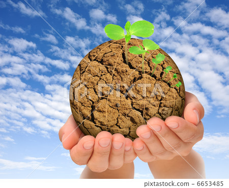 Plants growing out of parched planet in hands, evolution concept Plants growing out of parched planet in hands, evolution concept 6653485