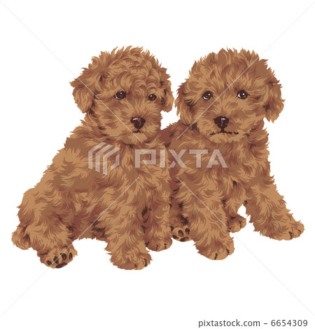 Dog 098 Dog 098 6654309