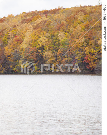 Nishioka Park Nishioka Park 6654463