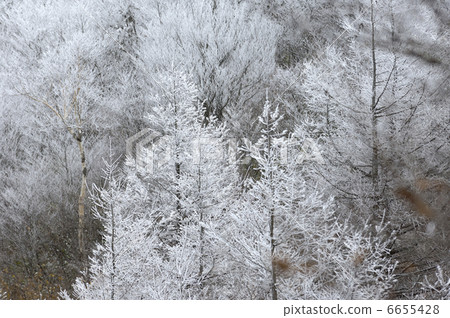 Foggy ice Foggy ice 6655428