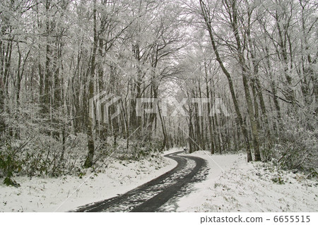 Snow-covered road  6655515