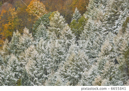 Foggy ice Foggy ice 6655841