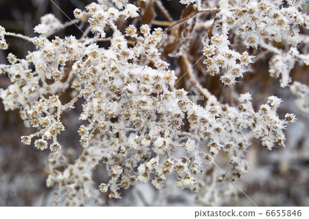  有霧的冰 6655846