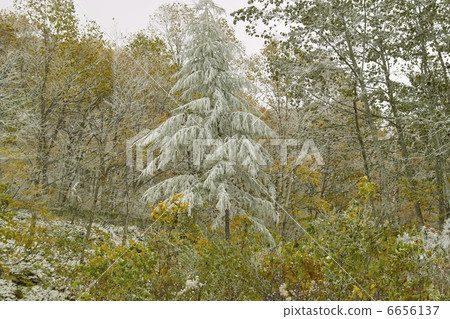 Foggy ice Foggy ice 6656137