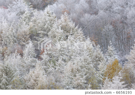 Foggy ice Foggy ice 6656193