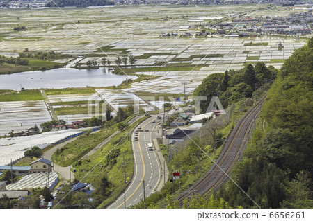 Lake White Dragon 6656261