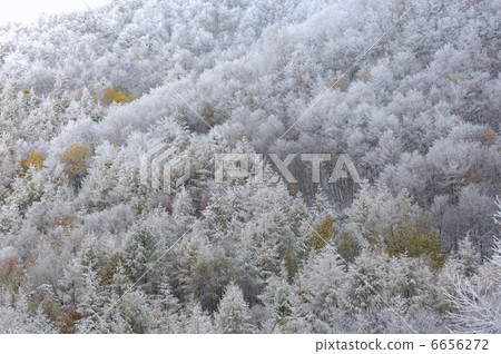  Foggy ice 6656272
