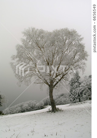  有霧的冰 6656549