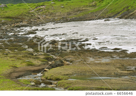 Snowfield 6656646