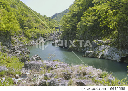 紅色神社 6656668