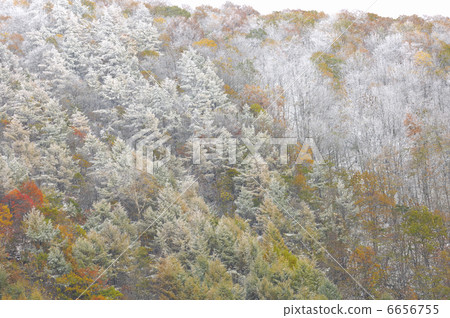 霧冰和秋天的落葉 霧冰和秋天的落葉 6656755