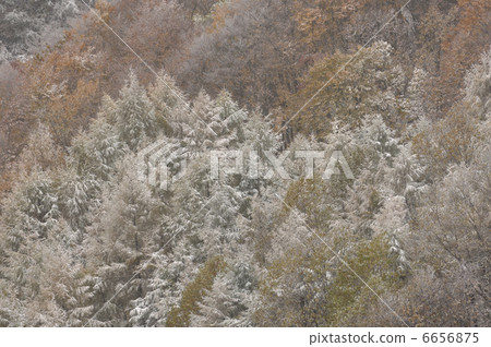  Foggy ice 6656875