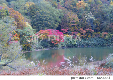 Kanegakiman Kanegakiman 6656881