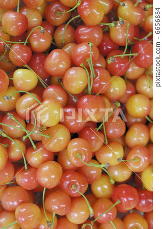 櫻桃 櫻桃 6656884