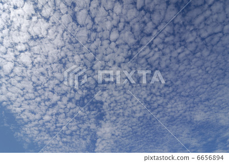 Sardine cloud 6656894
