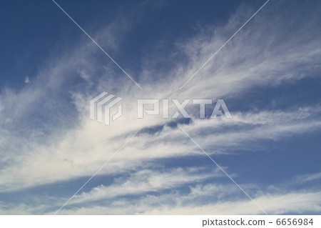 Sujikumo Sujikumo 6656984