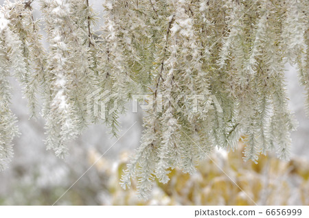 Foggy ice Foggy ice 6656999