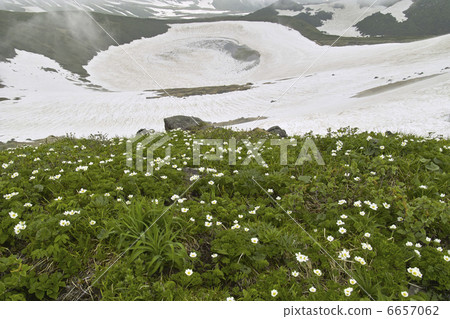 Hakusan Ichige 6657062