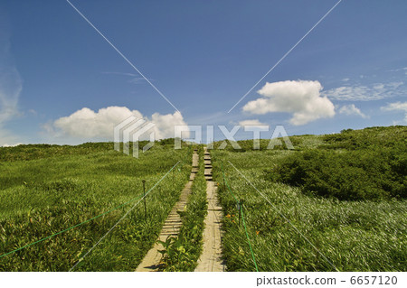 Boardwalk  6657120