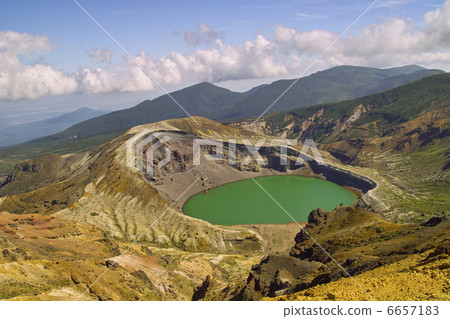 藏王銀杏 藏王銀杏 6657183