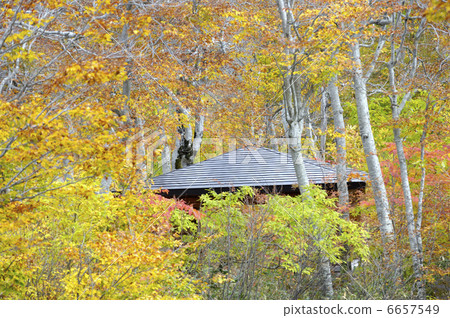 Azuma和秋葉 6657549