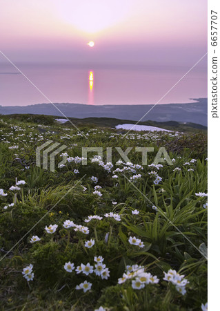 Hakusan Ichige 6657707