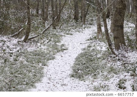 雪蓋 6657757