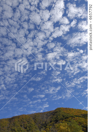 沙丁魚雲 6657792