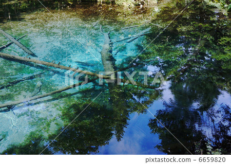 Summer God's child pond _ Hokkaido Summer God's child pond _ Hokkaido 6659820