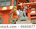 Fox 6660877