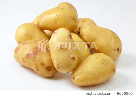 土豆 6660905