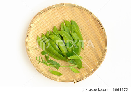 Pepper blossom 6661172