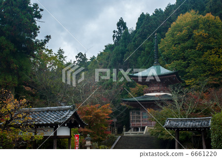 Horinji寺 6661220