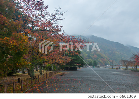 嵐山中島公園 6661309